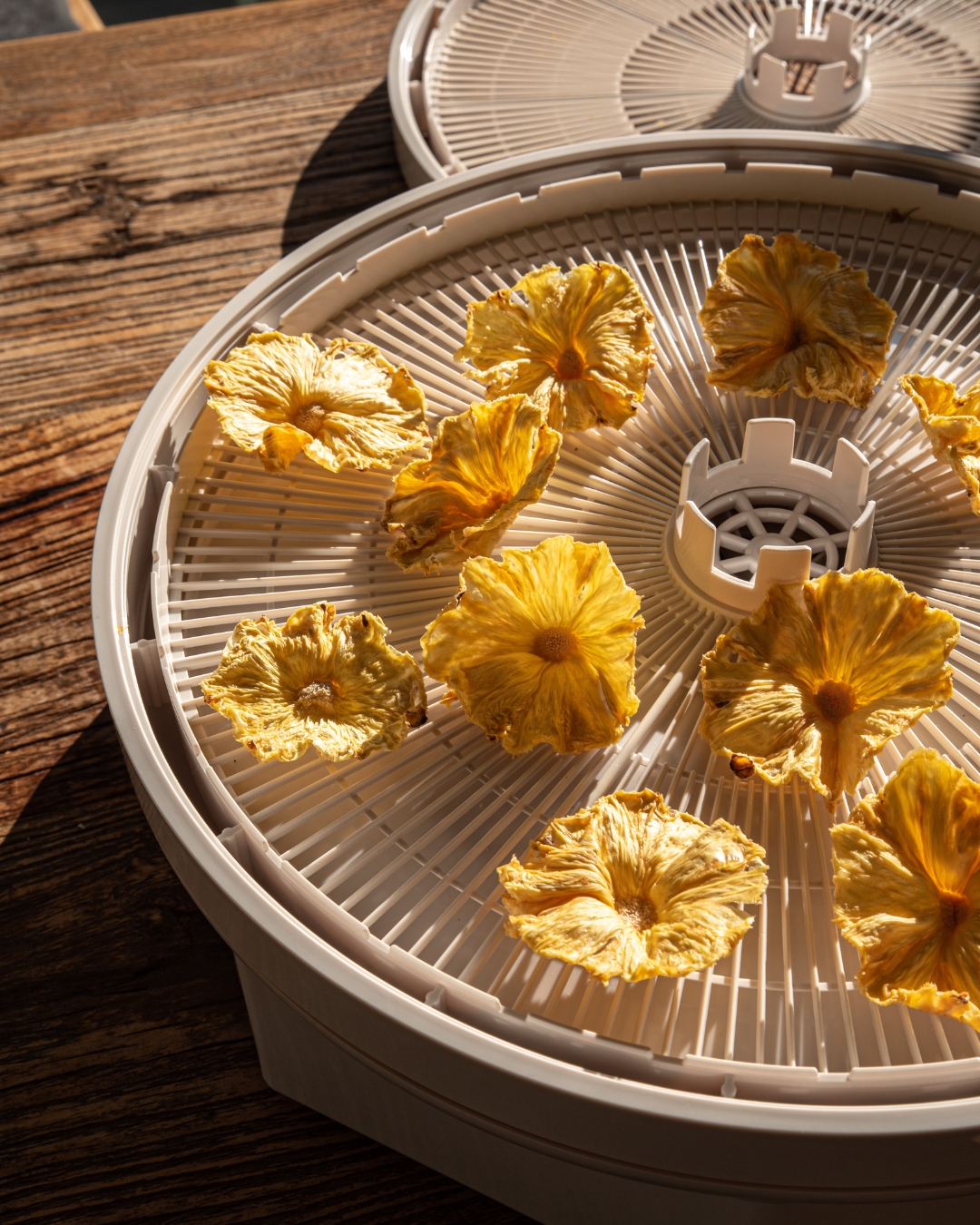 Návrh bez názvu - 2025-12-18T082851.626